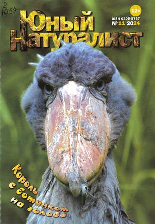 Юный натуралист
